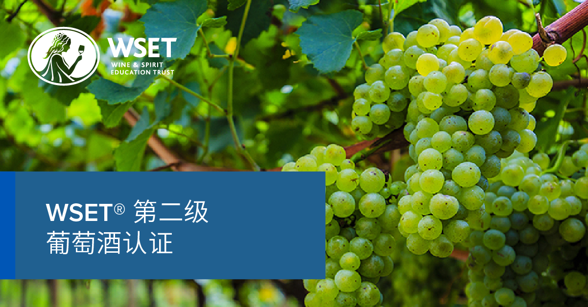 报名 | WSET第二级葡萄酒认证课程
